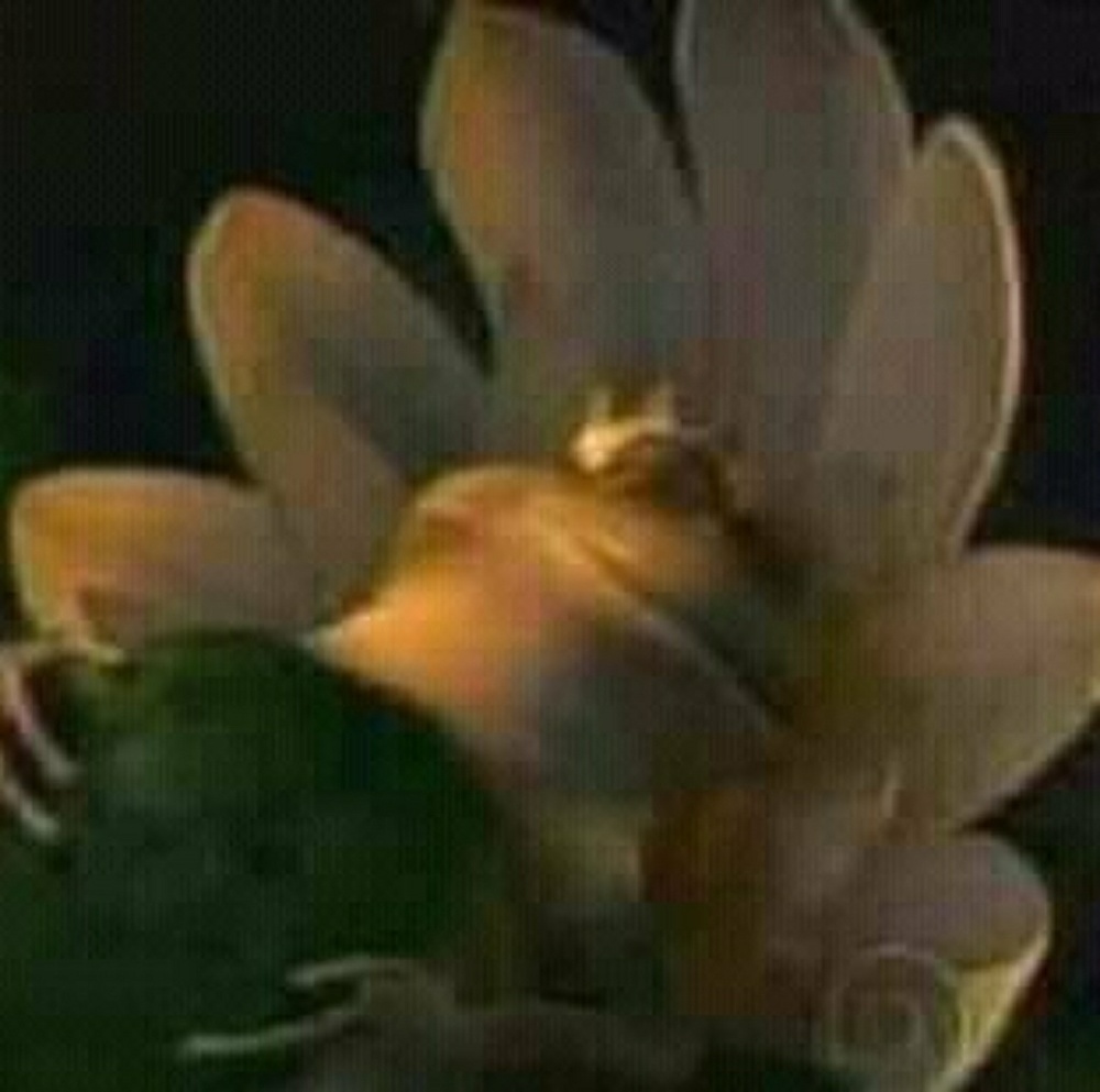 Meet your Posher, Marissa